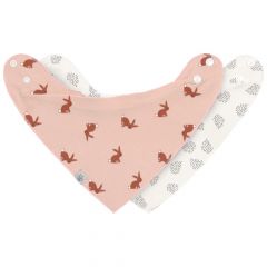 Set van 2 bandanas