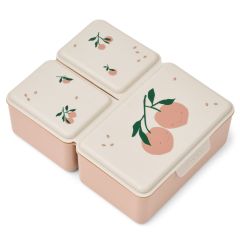 Driss lunchbox
