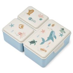 Driss lunchbox