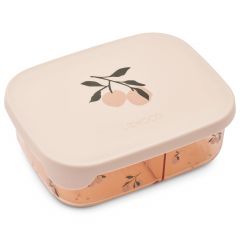 Arthur tritan lunchbox