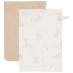 Set van 2 mousseline washandjes