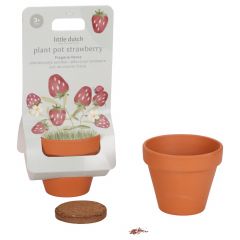 Plantenpotje aardbei
