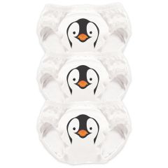 Oefenbroekjes 3-4 jaar - 3 stuks