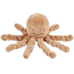 Octopus kort haar - Lapidou