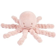 Octopus kort haar - Lapidou