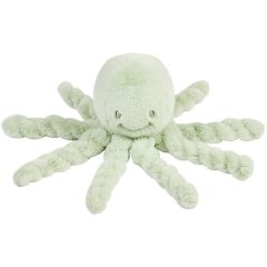 Octopus kort haar - Lapidou