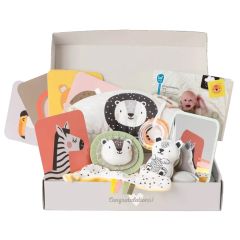 Newborn Develop & Play kit