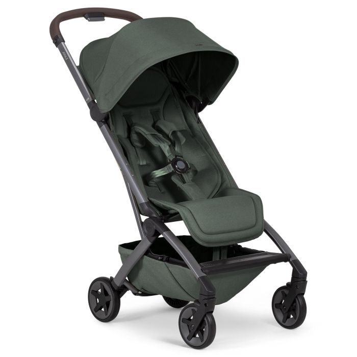 Aer 2 buggy