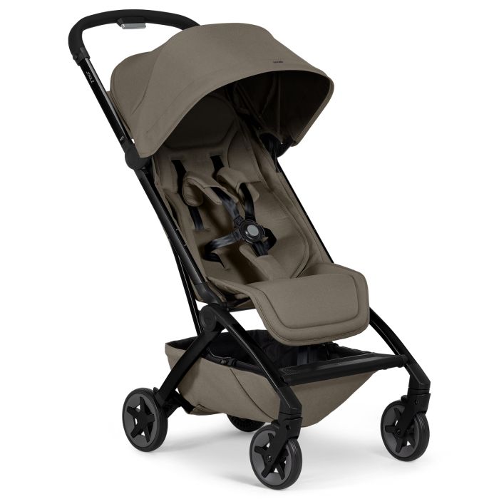 Aer 2 buggy