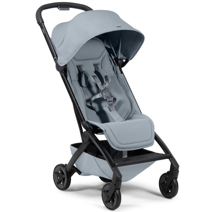 Aer 2 buggy