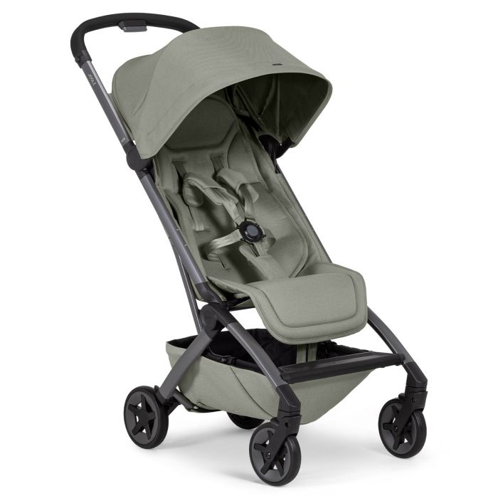 Aer 2 buggy