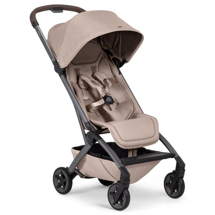 Aer 2 buggy