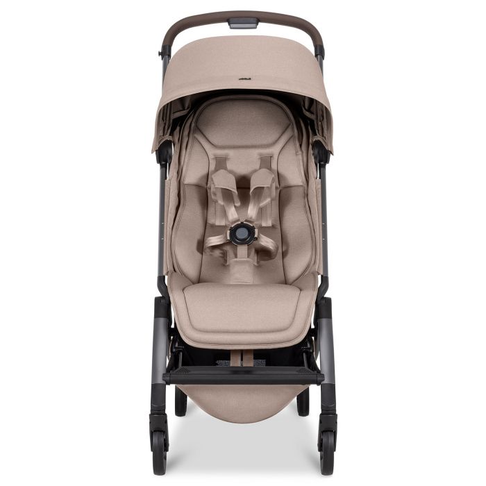 Aer 2 buggy