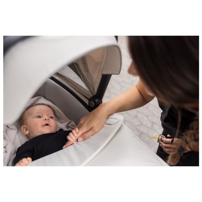 Thule Bassinet reiswieg