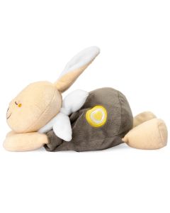 Opwarmbare knuffel