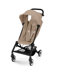 Agis buggy