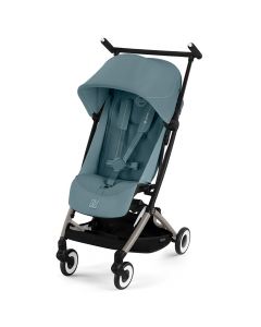 Libelle 4 buggy