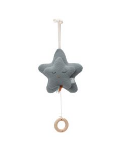 Muziekhanger Star
