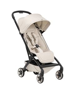 Aer 2 buggy