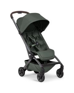 Aer 2 buggy
