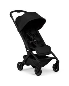 Aer 2 buggy
