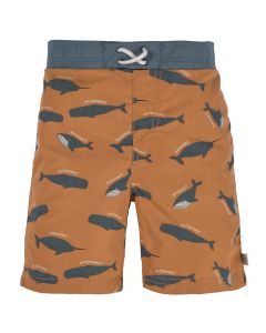 Zwemshort met zwemluier - maat 86