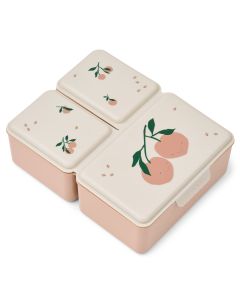 Driss lunchbox