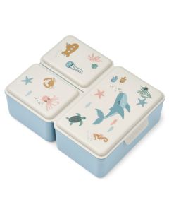 Driss lunchbox