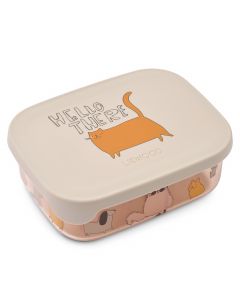 Arthur tritan lunchbox