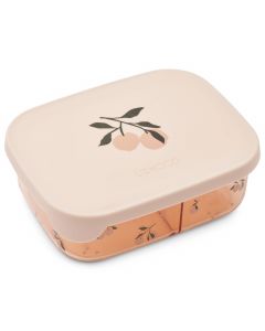 Arthur tritan lunchbox