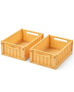 Set van 2 Weston opbergboxen maat S