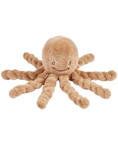 Octopus kort haar - Lapidou