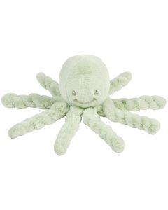 Octopus kort haar - Lapidou