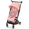 Libelle 5 buggy