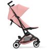 Libelle 5 buggy