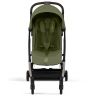 Orfeo 2 buggy