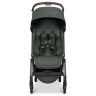Aer 2 buggy