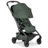 Aer 2 buggy
