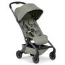 Aer 2 buggy