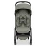 Aer 2 buggy
