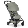 Aer 2 buggy