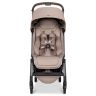 Aer 2 buggy