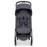 Aer 2 buggy