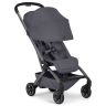 Aer 2 buggy