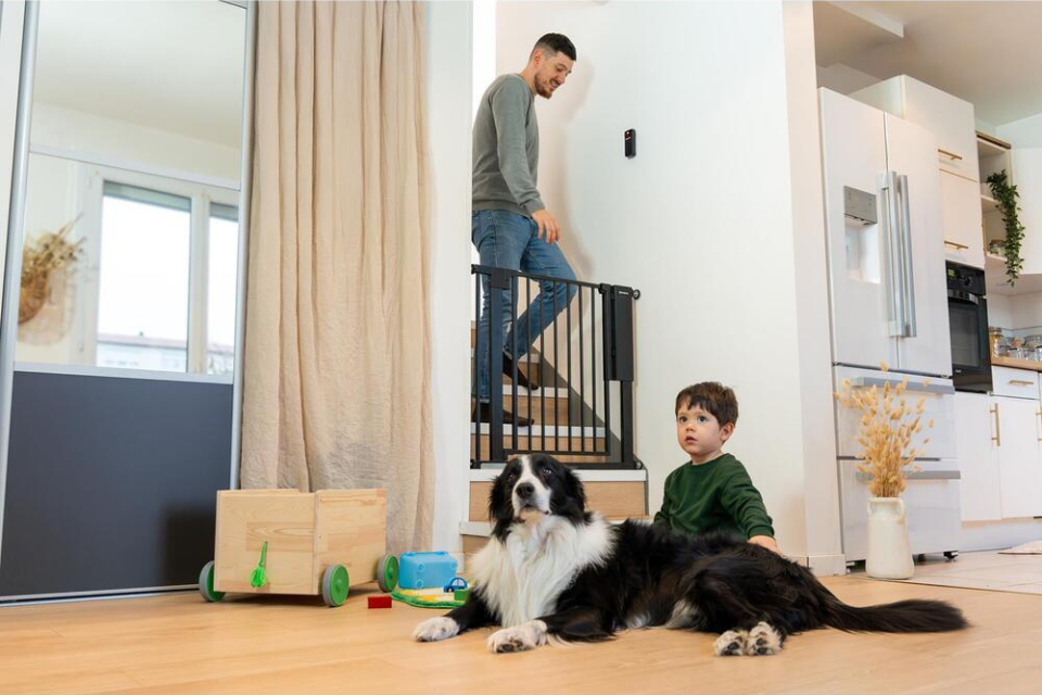 jongetje en hond voor het safe & pass hekje, papa erachter