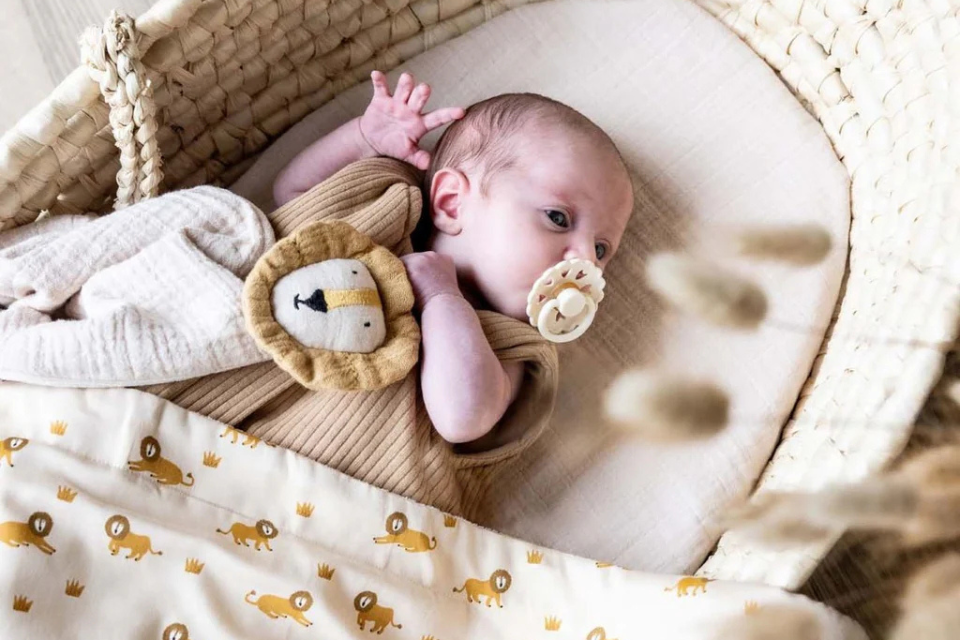 baby in een wieg met een fopspeen en een knuffeltje